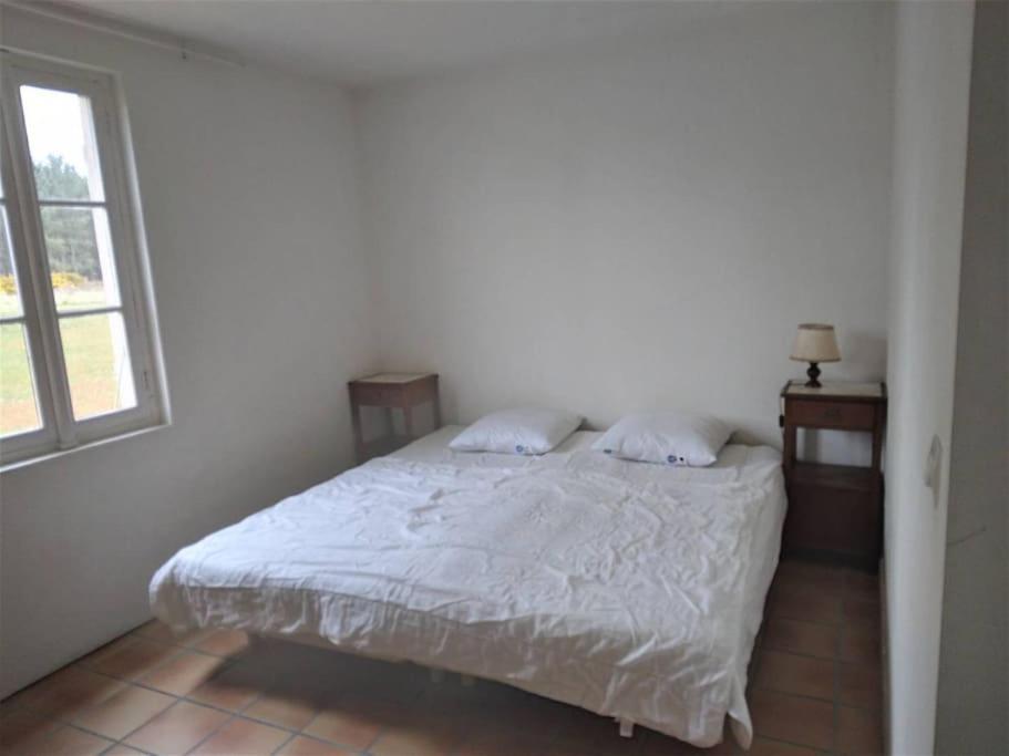 Apartamento Le Petit Frouas Sud Vielle-Saint-Girons Exterior foto